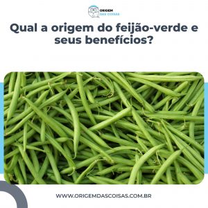 Qual a origem do feijão-verde e seus benefícios?